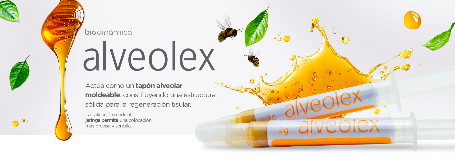 banner_ALVEOLEX_ES_1920px x 702px
